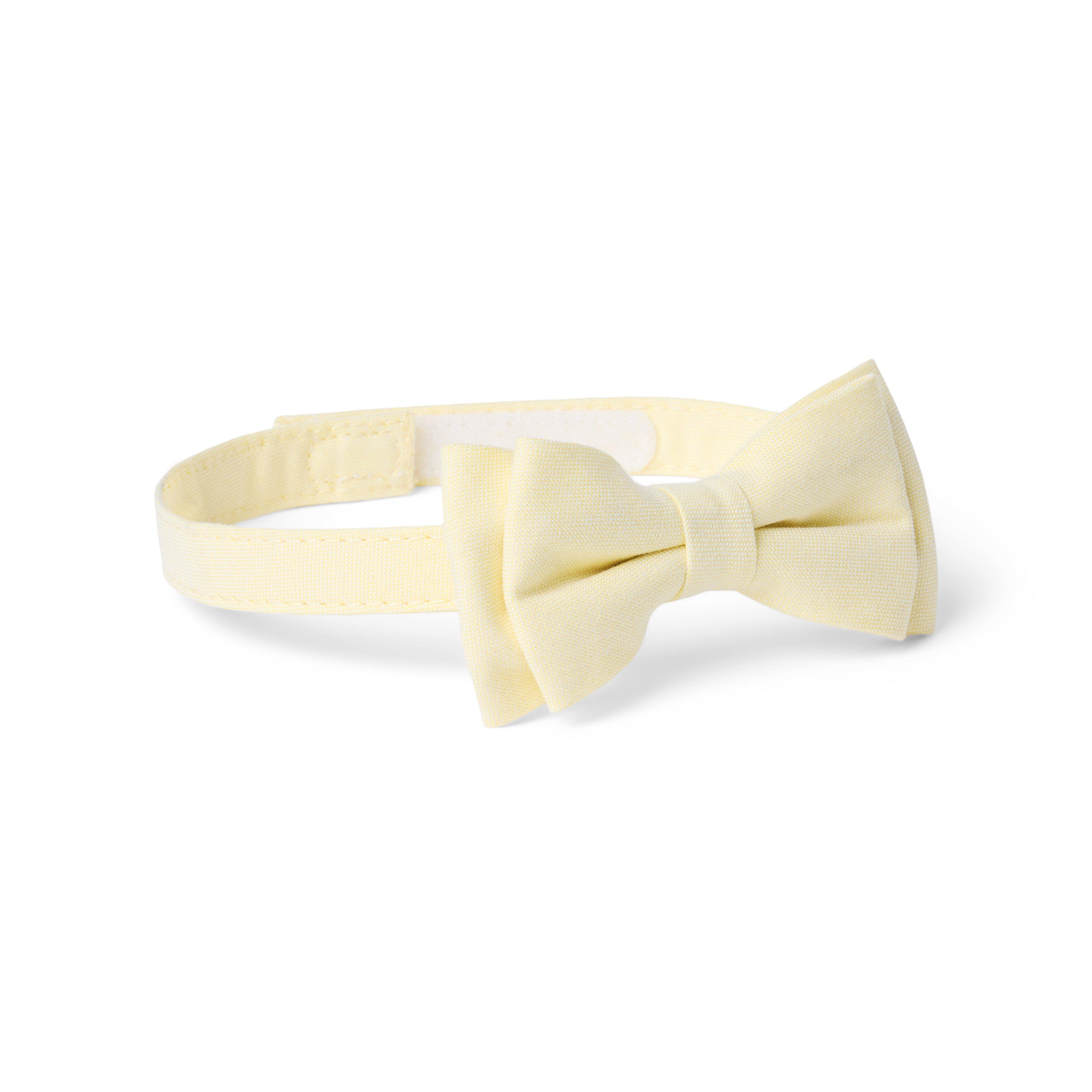 Oxford Bowtie